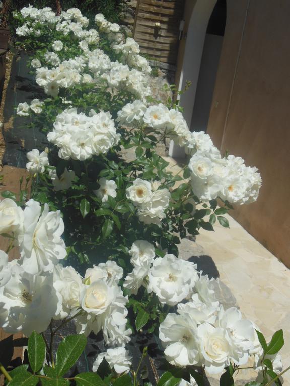 Bed and Breakfast Aloasis Grimaud Esterno foto
